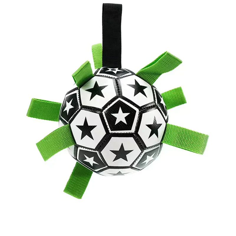 Balón de Fútbol Interactivo para Perro