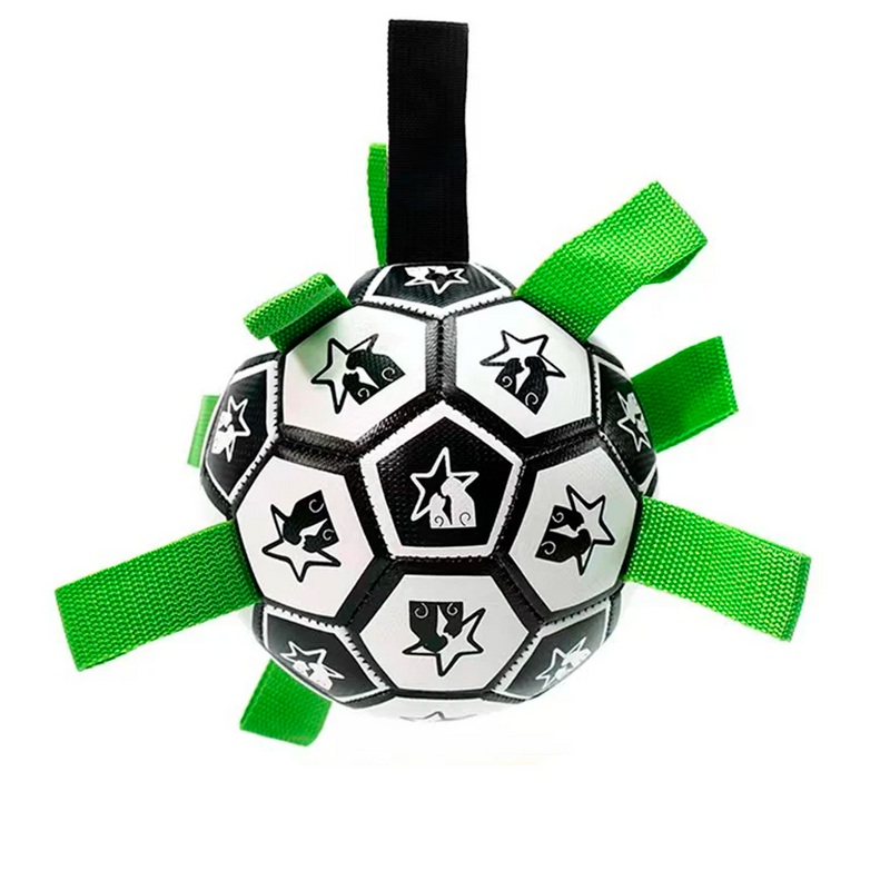 Balón de Fútbol Interactivo para Perro