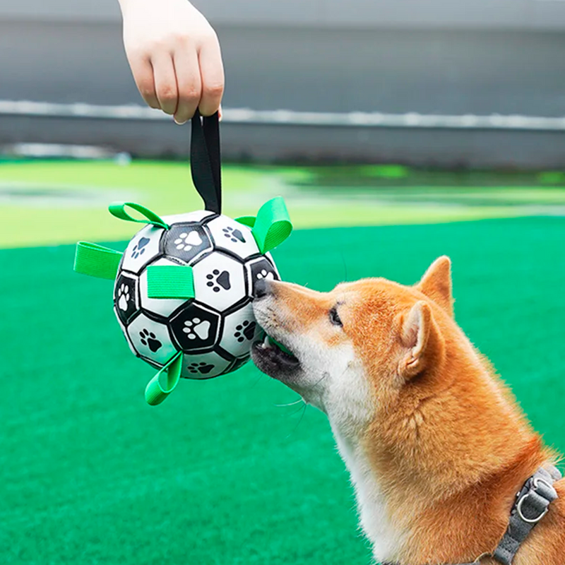 Balón de Fútbol Interactivo para Perro