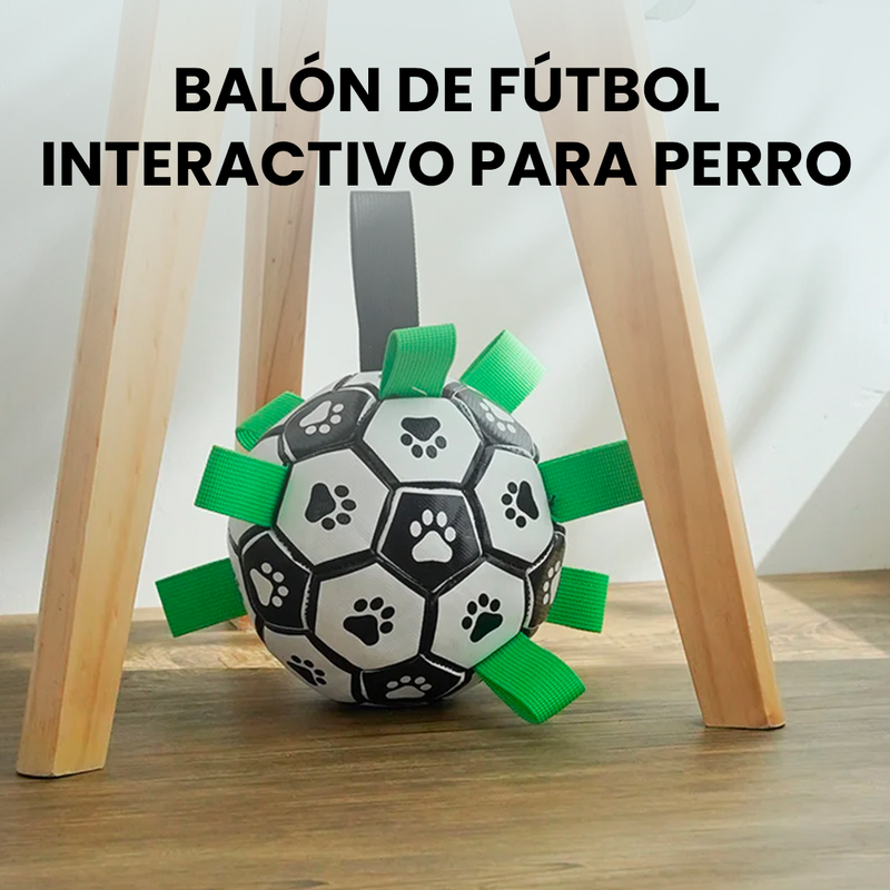 Balón de Fútbol Interactivo para Perro