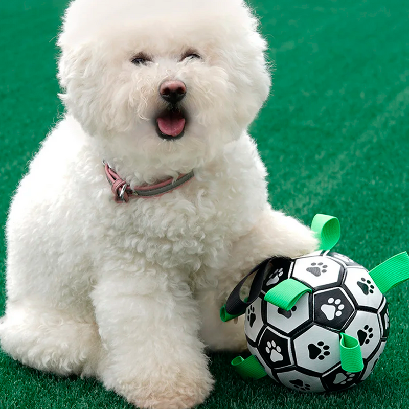 Balón de Fútbol Interactivo para Perro