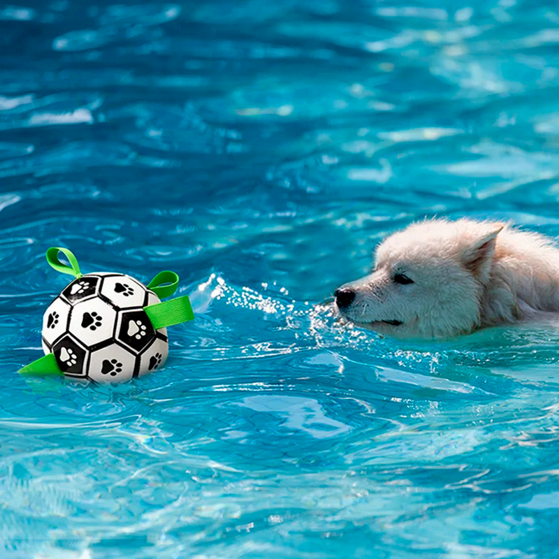 Balón de Fútbol Interactivo para Perro