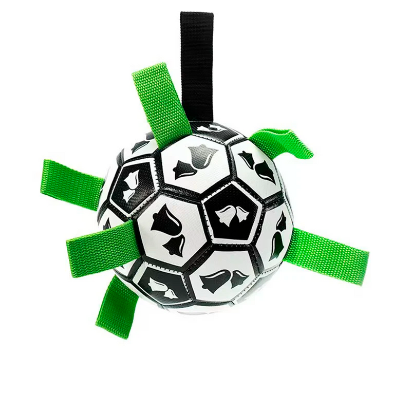 Balón de Fútbol Interactivo para Perro