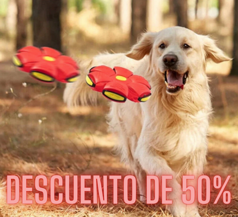 FlyBall™ Pelota Voladora para Perros